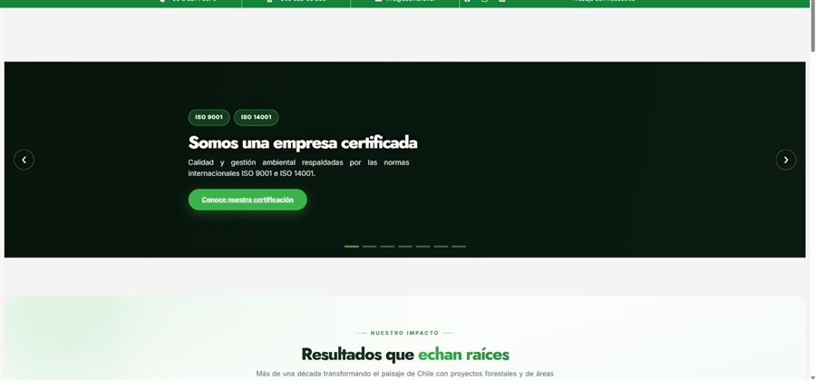 Captura de la página de inicio de Asemafor