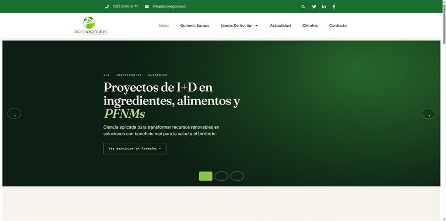 Captura de la página de inicio de EcoNegocios