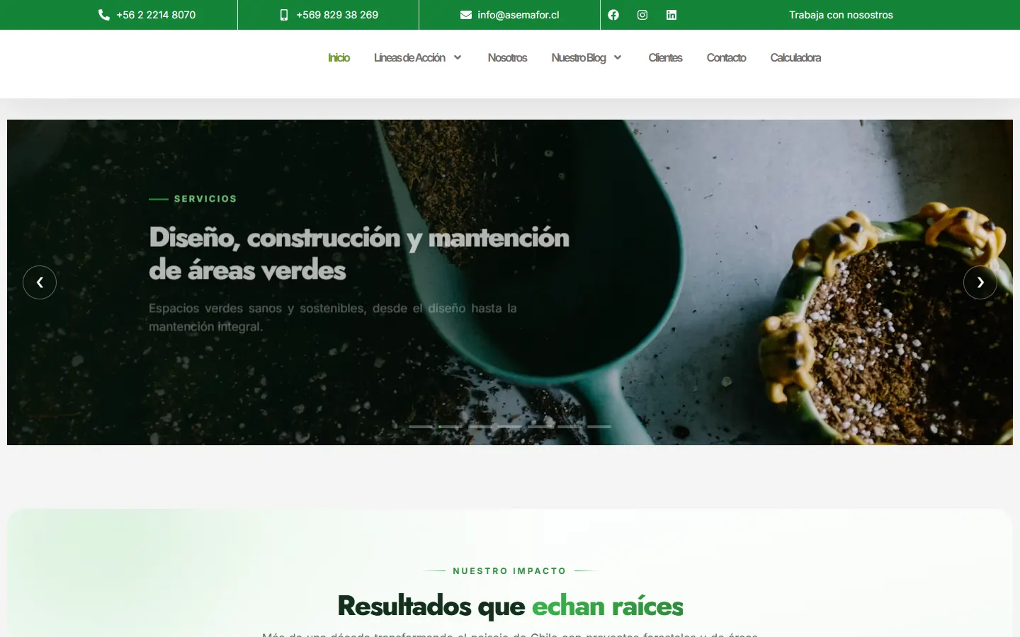 Página de inicio de ASEMAFOR